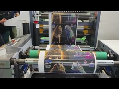 Máquina de impresión flexo de tipo manga