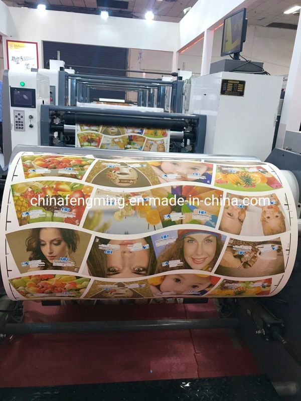 Experimente la versatilidad de la Flexo Prensa Multicolor para su negocio