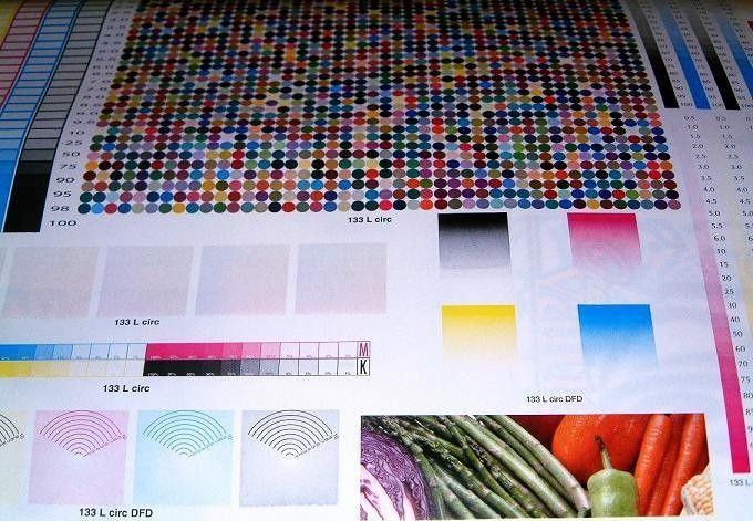 Máquina de impresión de flejo de 6 colores de alta velocidad CE automática de secado IR con aire caliente