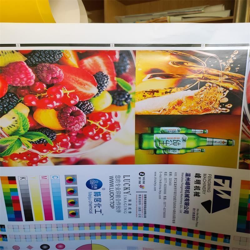 Petición personalizada Máquina de impresión Flexo de alta velocidad de 6 colores de unidad de tipo para rollo de papel