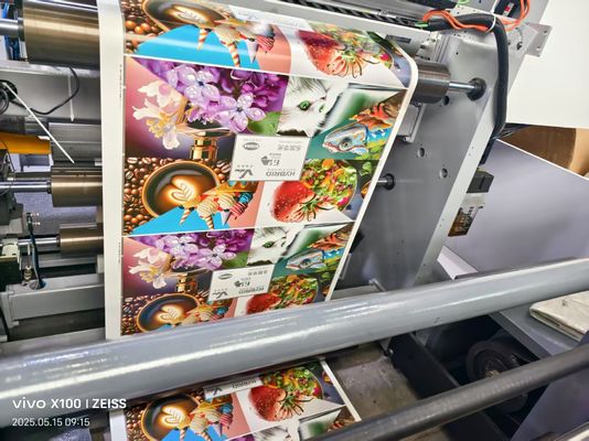 Impresoras Flexográficas de Alta Velocidad de 8 Colores Máquina de Impresión Gráfica Flexo Precio de 8 Colores