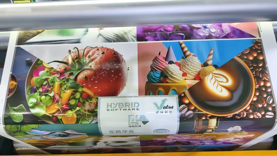 Máquina de impresión flexográfica en línea con servomotor completo, modelo de pétalo, rollo a rollo, de alta calidad y automática